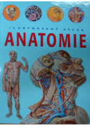 Ilustrovaný atlas anatomie  - ... autoři různí/ bez autora
