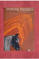 Poník Pedro - STRITTMATTER Erwin