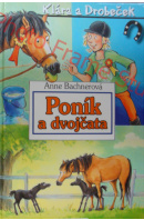 Poník a dvojčata - BACHNEROVÁ Anne